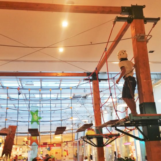 Panorama_Alessandria_Parcoavventura_2015 (14)