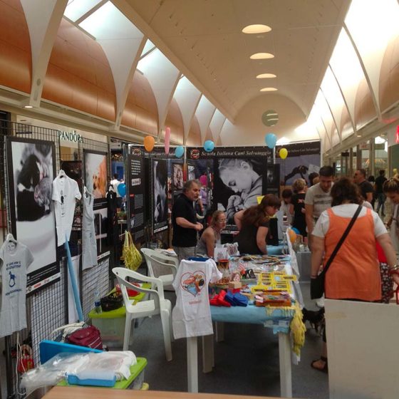 eventi-sensibilizzazione-campagna-contro-abbandono-animali-centro-commerciale-9